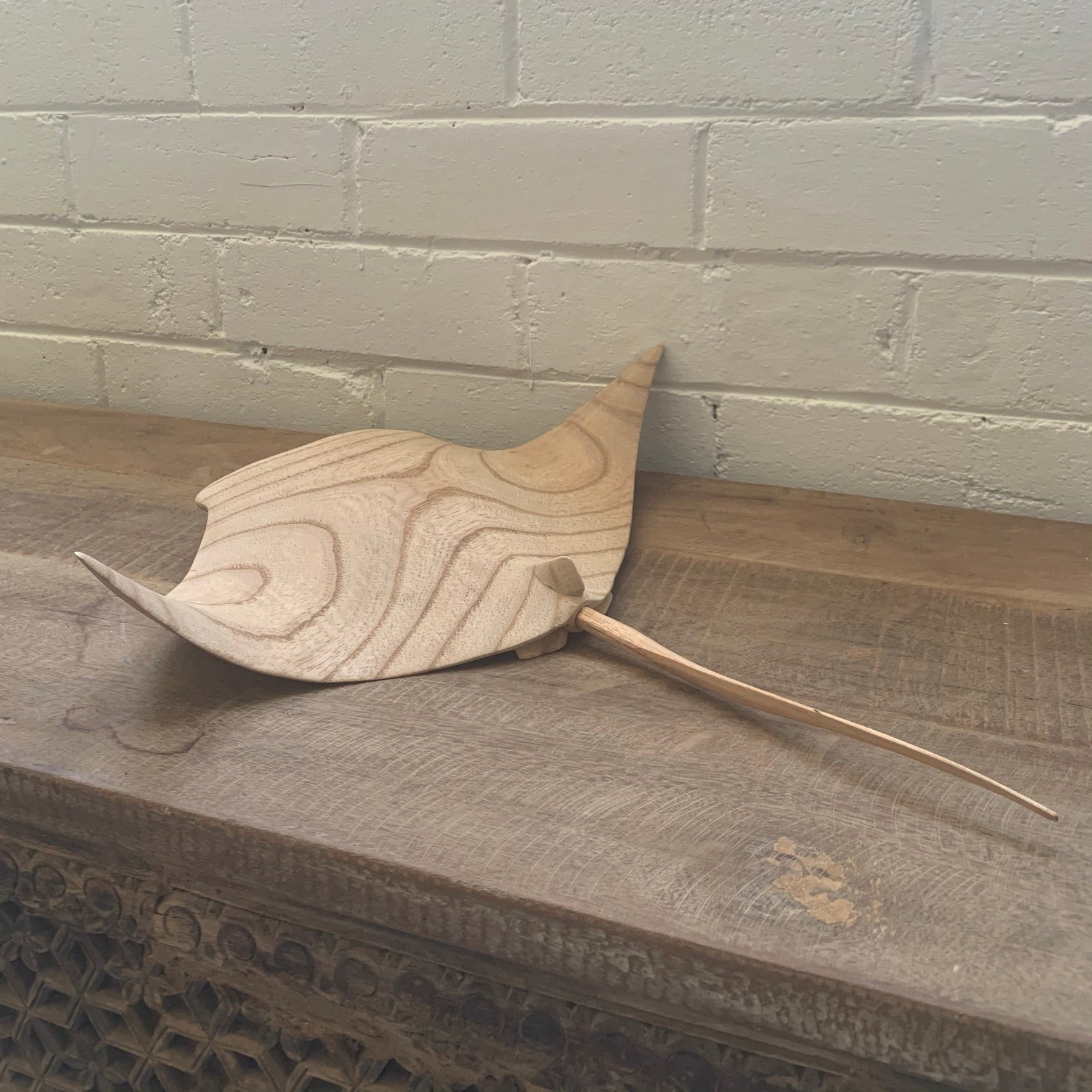 Manta Ray