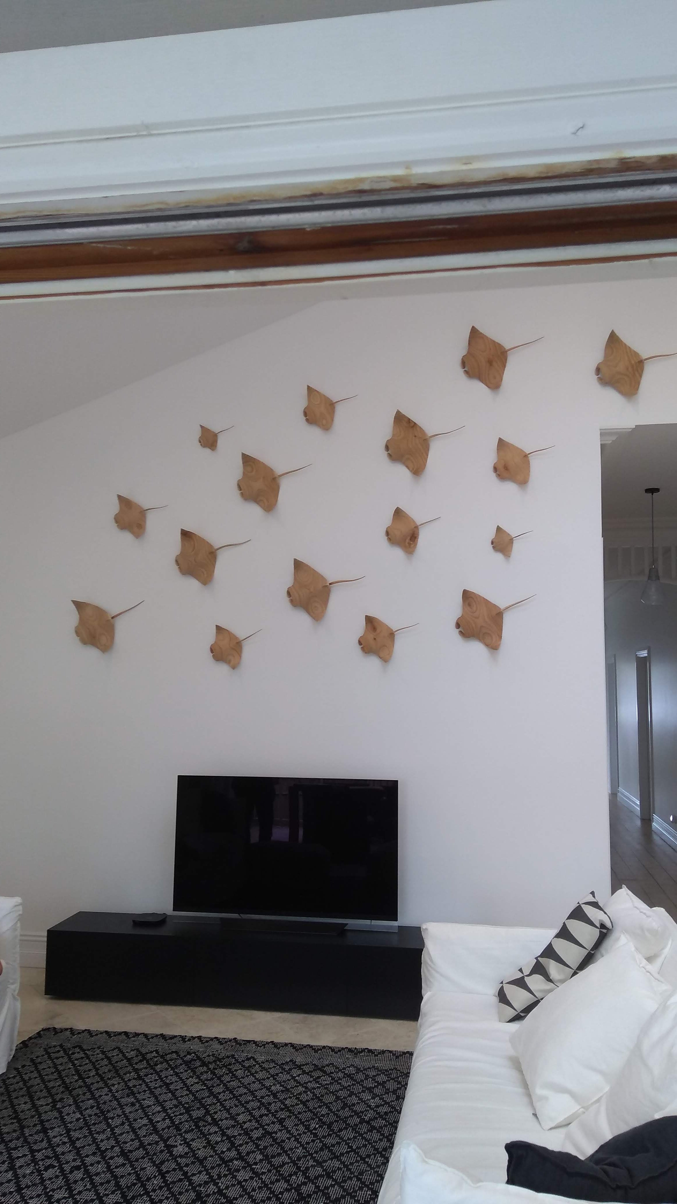 Manta Ray